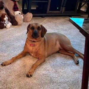 Meet your Posher, Renika